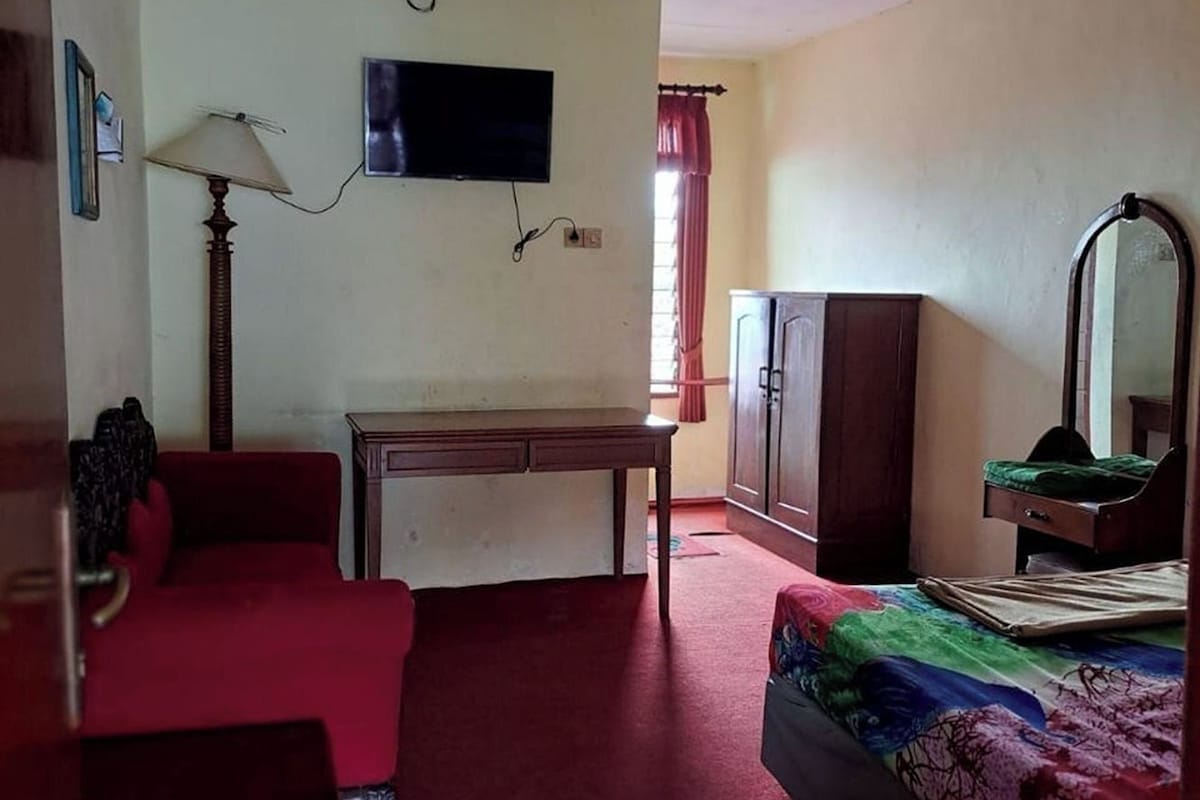 Une chambre avec un lit, un bureau, une télévision et une armoire.