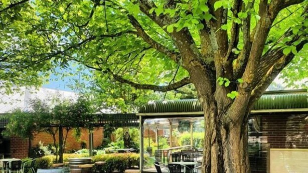 An outdoor patio area with round tables and chairs, surrounded by lush greenery and a large tree. - The Lancefield Lodge (Lancefield)