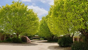 A pathway flanked by lush green trees and a building with a brick facade. - The Lancefield Lodge (Lancefield)