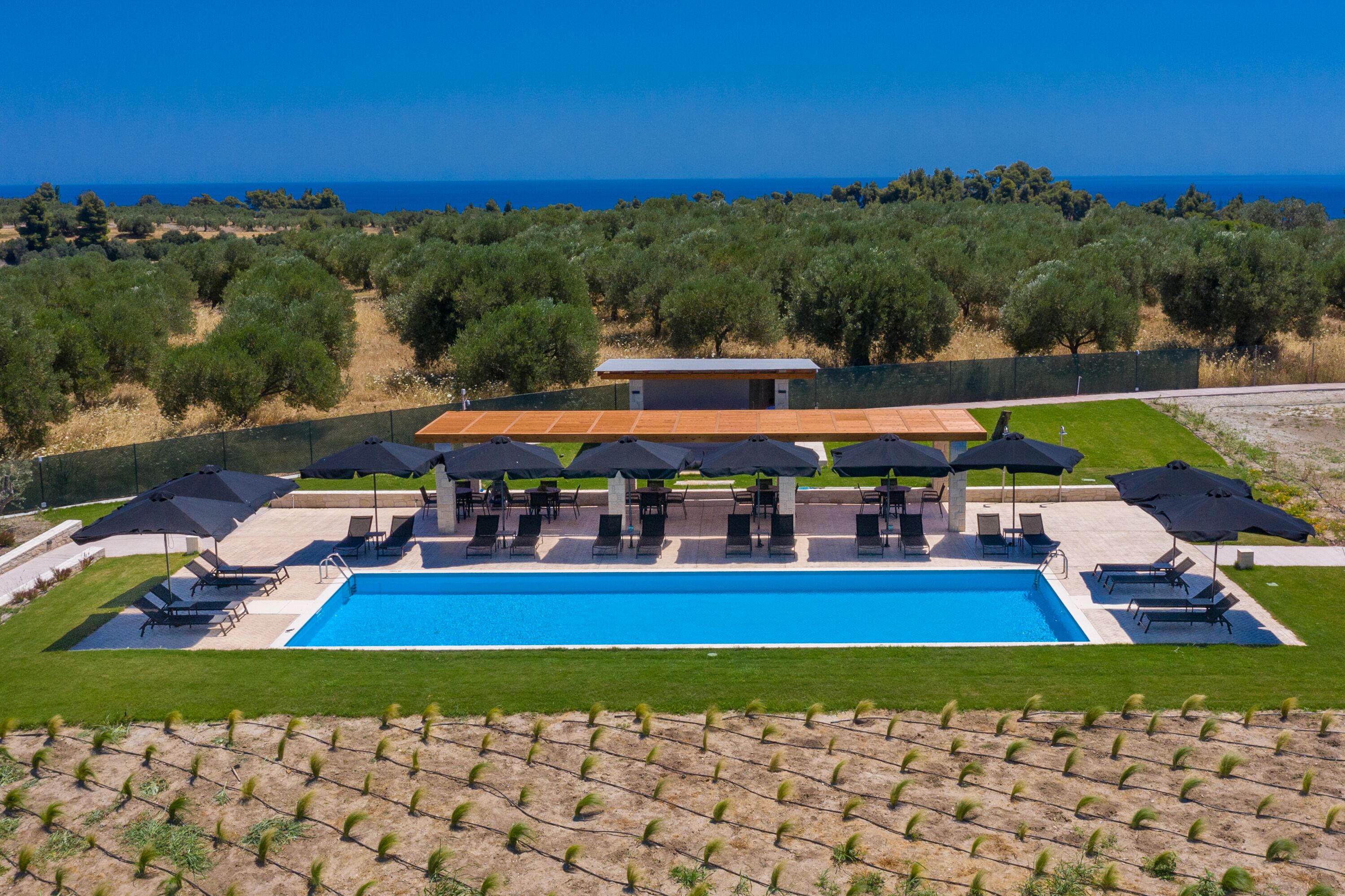 A swimming pool with lounge chairs and umbrellas, surrounded by greenery and a view of the sea.