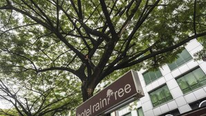 A sign for 'hotel rain tree' with a large tree in the foreground. - Raintree Hotel (Kuala Lumpur)