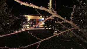 A building with a visible balcony and a tree in the foreground. - SUITE LA GINESTRA among historic olive trees (Eboli SALERNO)