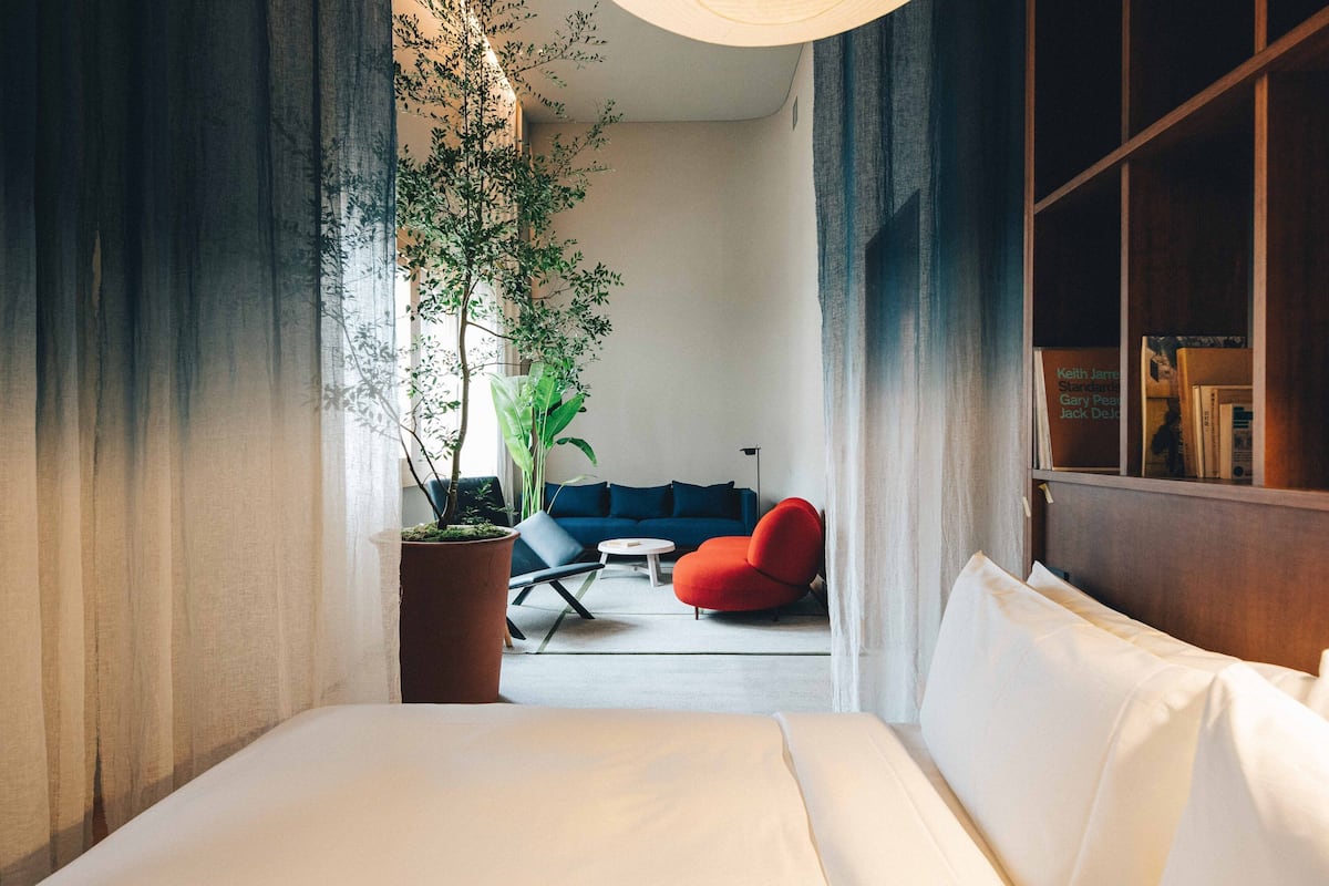 A hotel room with a bed, a red armchair, a blue sofa, and a potted plant.