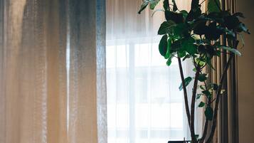 A room with a large potted plant, a red sofa, and a black chair.