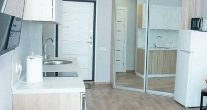 Уютная однокомнатная квартира возле аэропорта Киев Жуляны