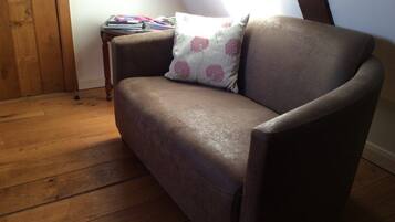 Smart TV, fireplace, DVD player, books