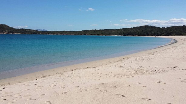 A sandy beach with clear blue water and a forested hill in the background. - COSTA SMERALDA APARTMENT in semi-detached villa with sea view in Cannigione alta (ARZACHENA)