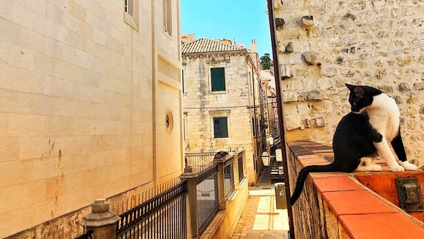 A narrow street with historic buildings, a cat on a ledge, and a clear blue sky. - Heart of the City Apartments (Dubrovnik)