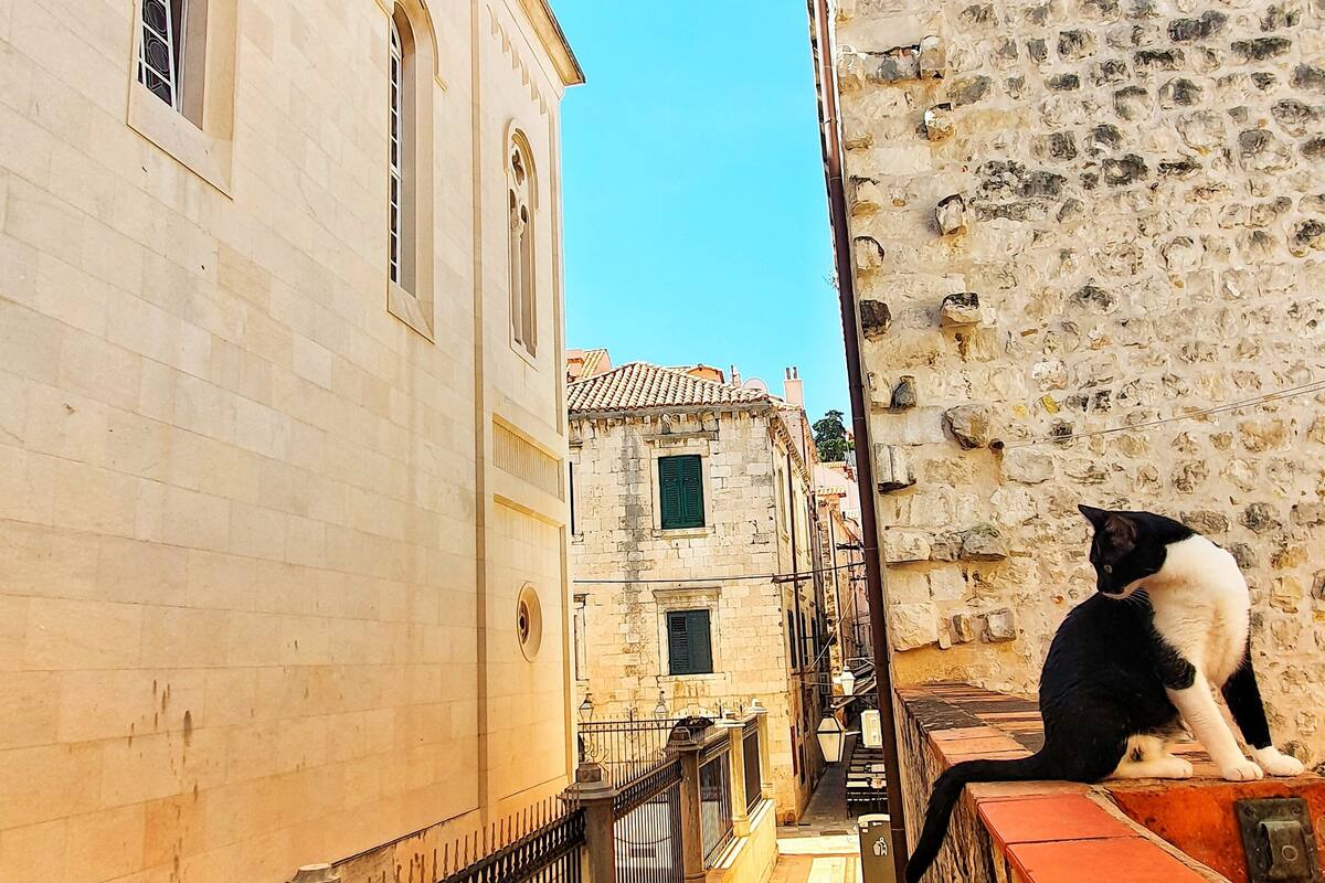 A narrow street with historic buildings, a cat on a ledge, and a clear blue sky.