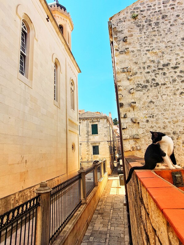 Property entrance - Heart of the City Apartments (Dubrovnik)