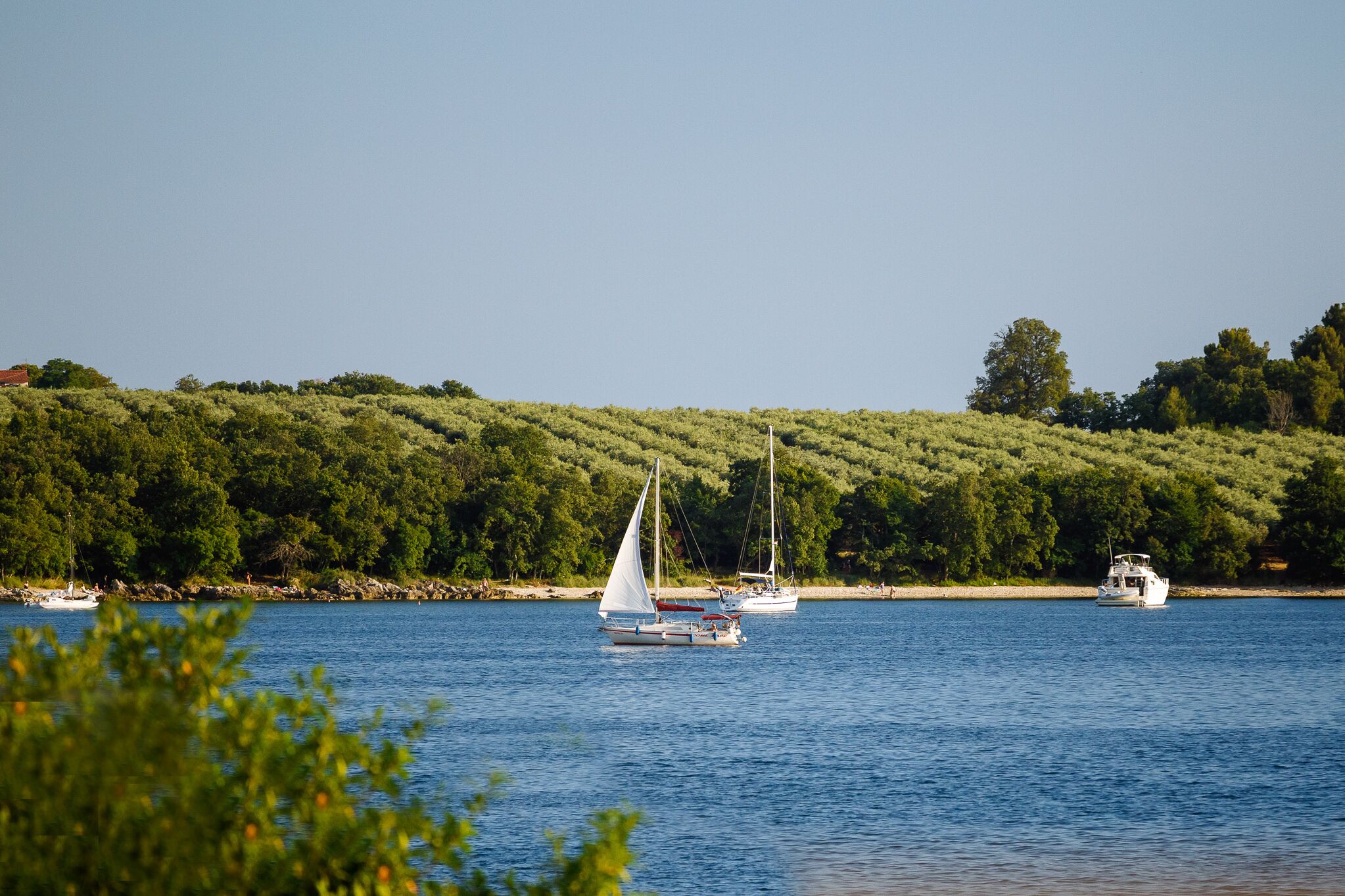 En stilla sjö med segelbåtar och en båt som ligger förtöjd vid stranden.