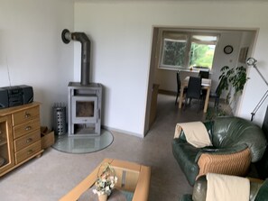 TV, fireplace, books