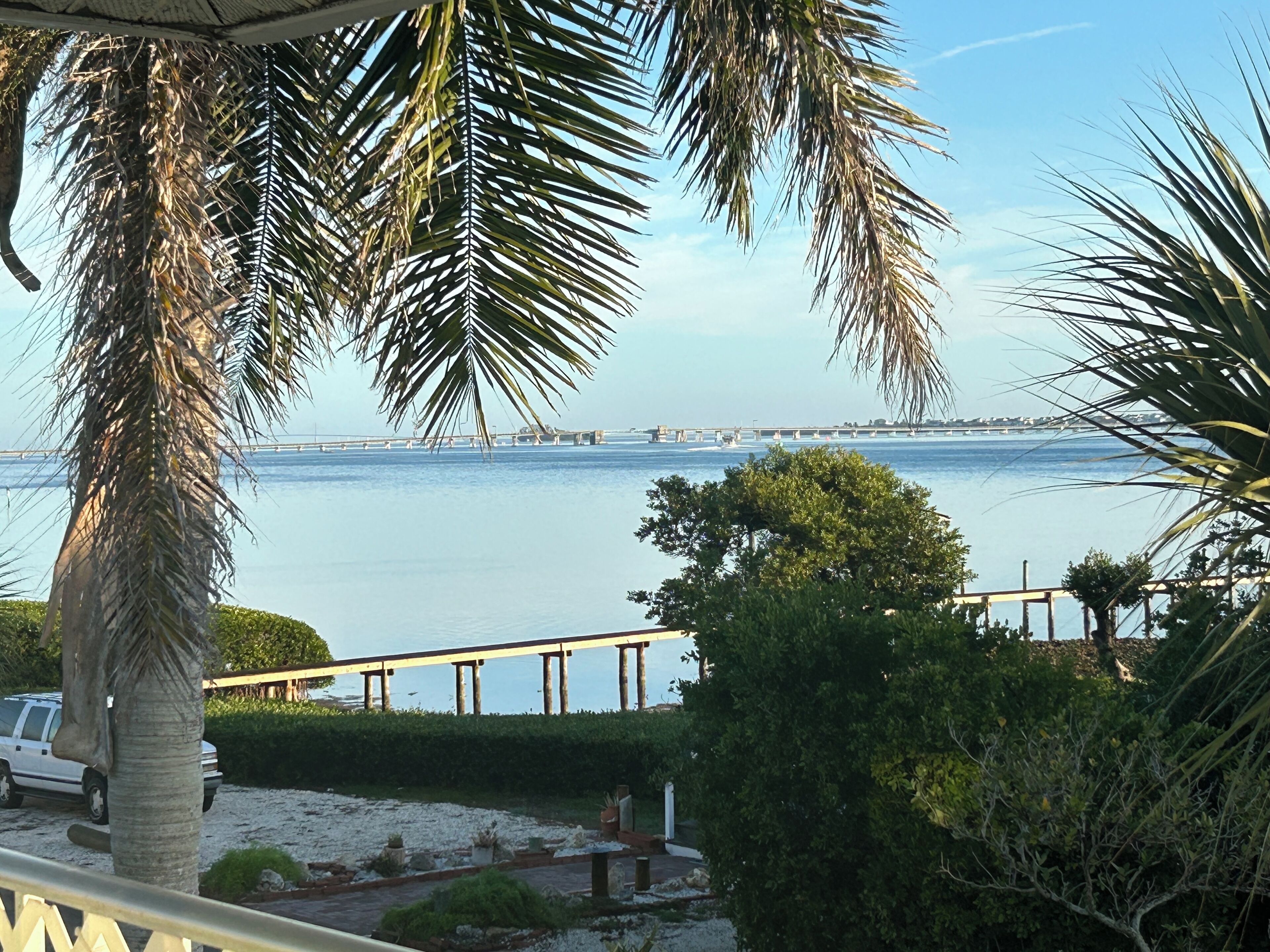 A coastal view with a palm tree, a sandy area, and a bridge in the distance.