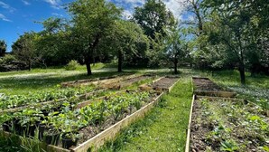 Un jardín con bancales elevados y árboles bajo un cielo parcialmente nublado.