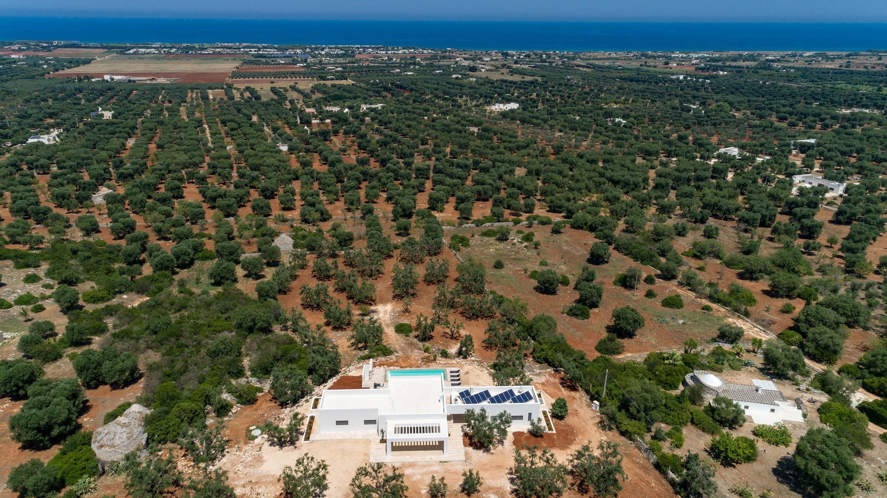 Vista aérea de una propiedad con olivares, piscina y una casa moderna con paneles solares.
