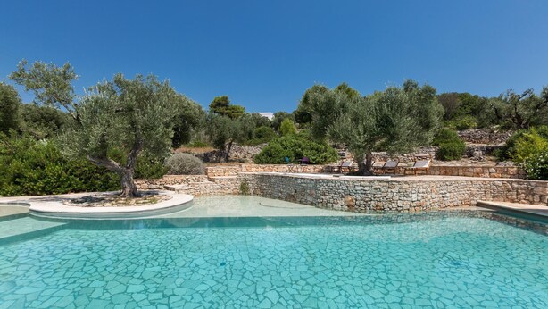 A clear blue pool with stone tiles, surrounded by olive trees and a stone wall. - Villa Rio (Patu)