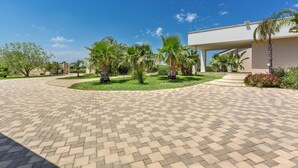 Un patio empedrado con palmeras y un edificio moderno.