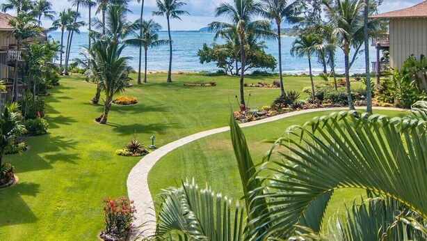 A well-maintained garden with palm trees and a view of the ocean.