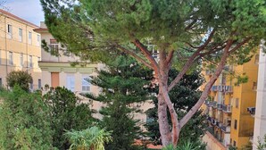 A residential area with a large tree, parked cars, and apartment buildings. - Salerno 1950 (Salerno)