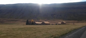 Skarð