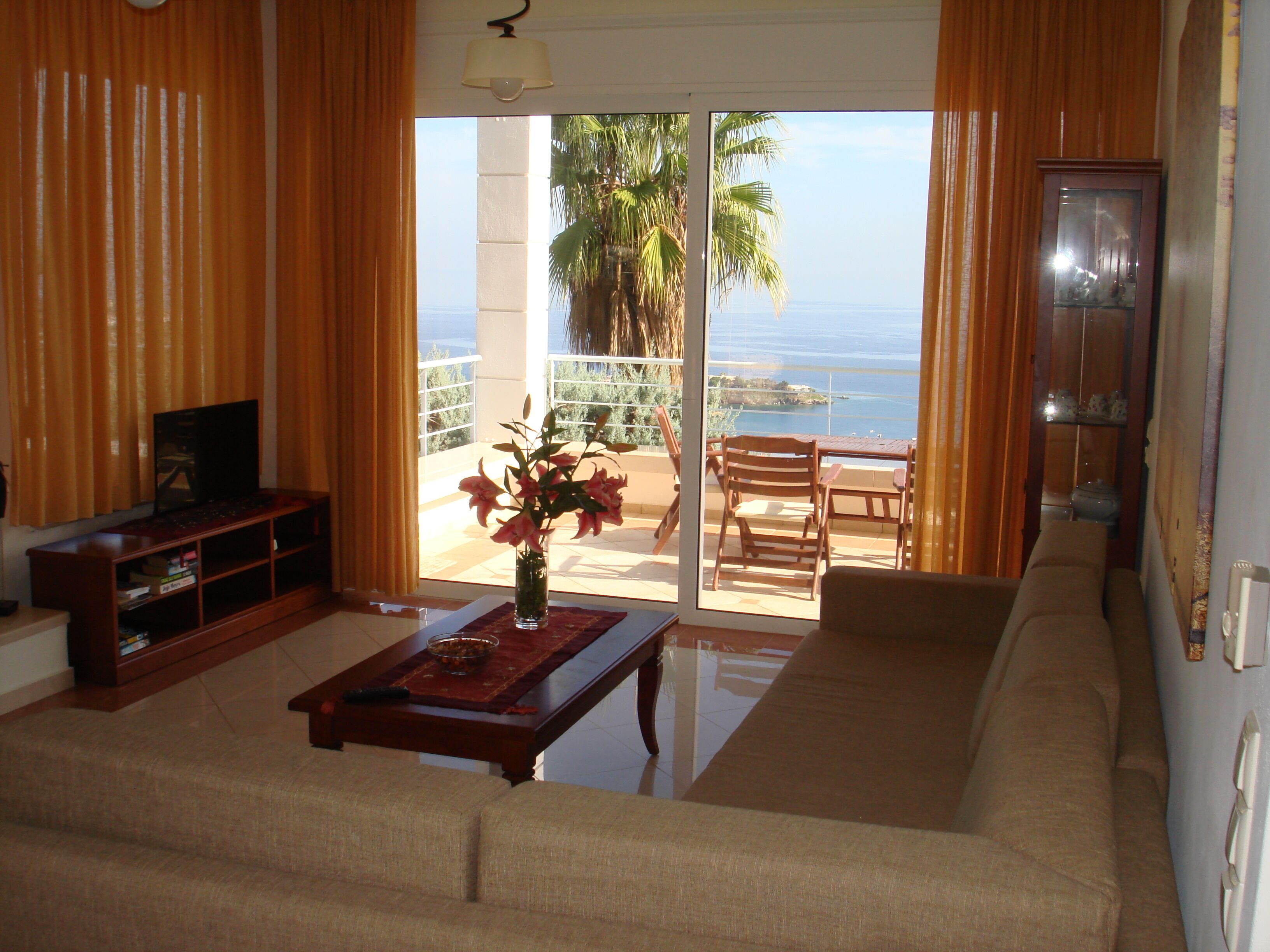 TV, lareira, DVD player, livros