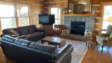 Televisión, chimenea, reproductor de DVD, libros