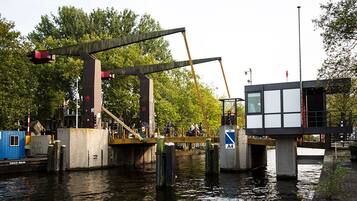 Vista desde la habitación