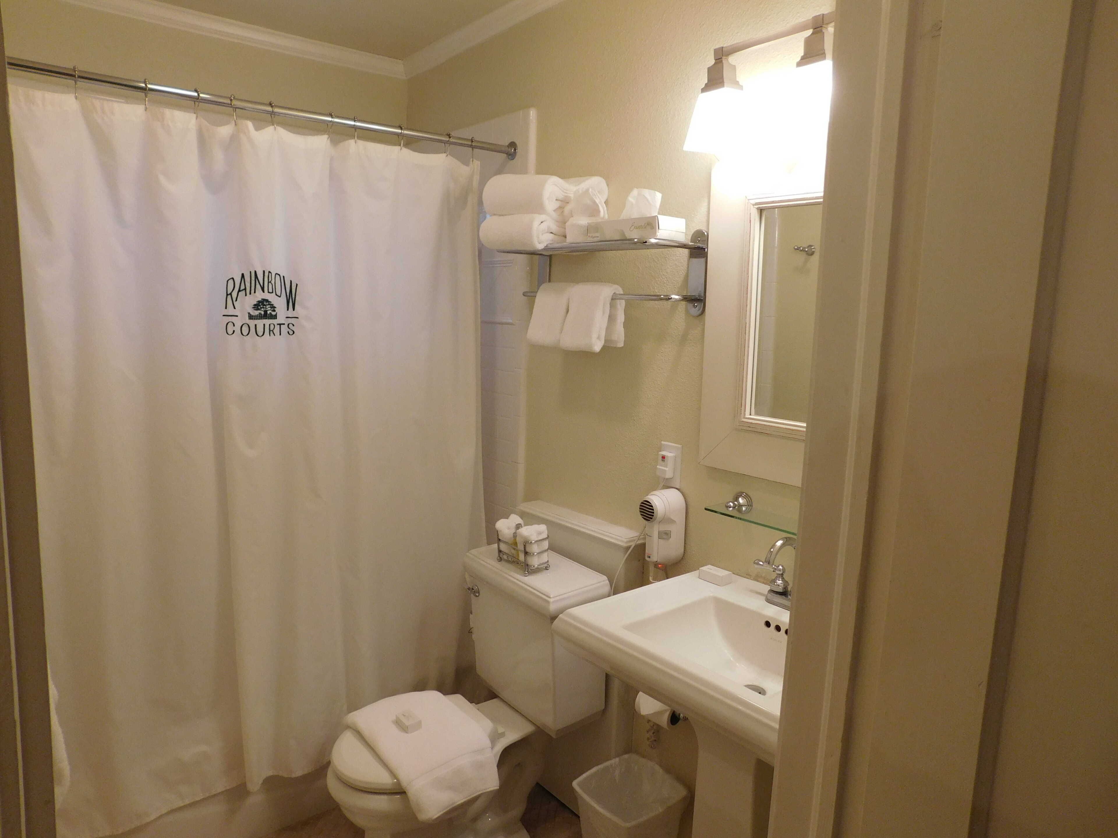 Une salle de bain équipée d’un rideau de douche, de toilettes, d’un lavabo et d’un miroir.