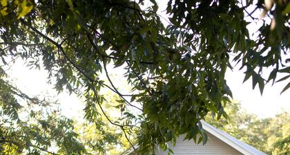 Rainbow Courts Motel