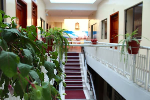 Un couloir avec un tapis rouge, une rambarde blanche et des plantes en pot.