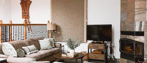 TV connectée, cheminée, lecteur de DVD, livres