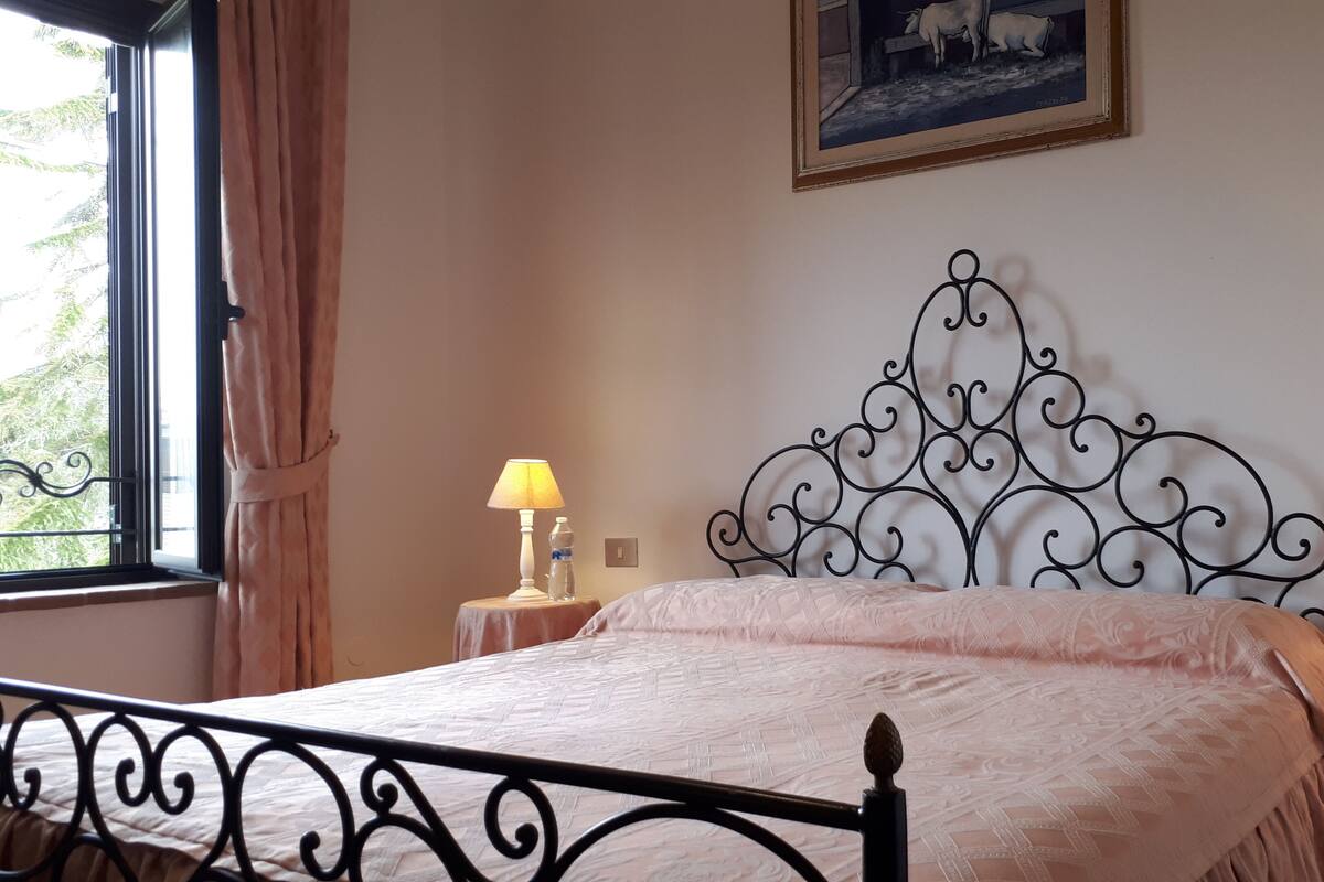1 chambre, minibar, bureau, fer et planche à repasser