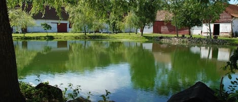 Lake