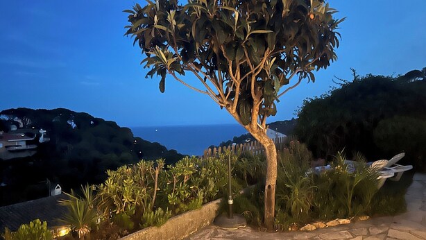 Un sentier bordé d’arbres mène à un belvédère offrant une vue panoramique sur la mer.