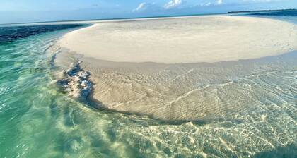 Green Turtle/Beach/Free GolfCart/Kayak/Umbrella/Chairs/Quiet Dead End