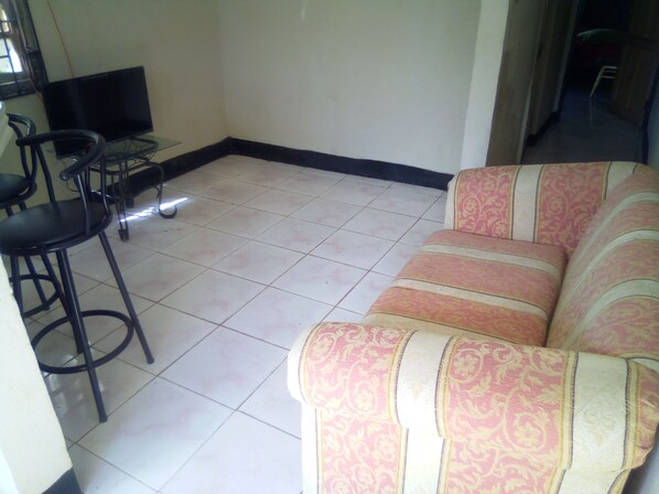 TV, DVD player, stereo - Annex Grand View  situated in the lush green hill of Three Hills near Ocho Rios (Ocho Rios)