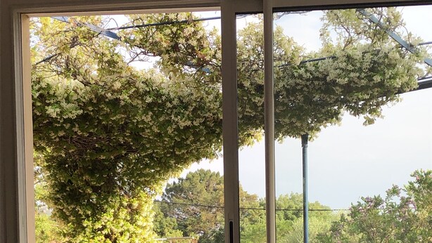 A room with a sliding glass door leading to a patio area with a pool, outdoor furniture, and lush greenery. - Charming villa between sea and mountains in Corsica (Conca)