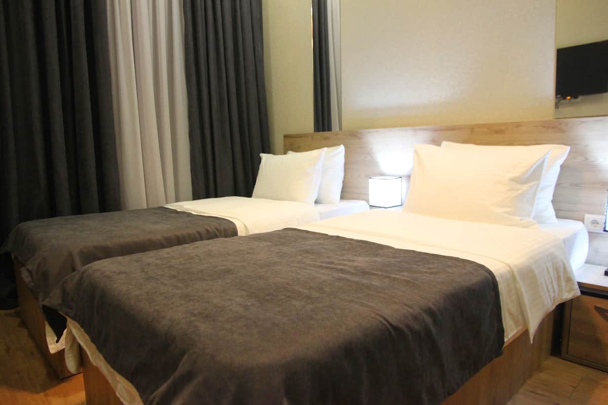 Standard Twin Room | Premium bedding, down comforters, memory foam beds, minibar