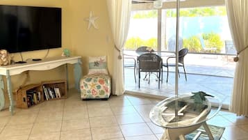 Smart TV, fireplace, books, music library
