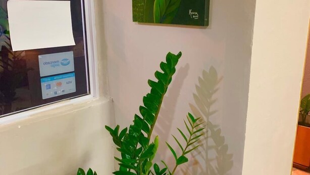 Una planta en maceta con una etiqueta en una esquina, una ventana con vista al exterior, y un cuadro en la pared.