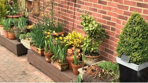 A variety of potted plants arranged along a brick wall, with a wooden bench and a hanging basket. - Queens Road Rental - Winchester Accommodation (Winchester)