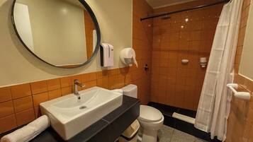 Un baño con lavamanos, inodoro y ducha.