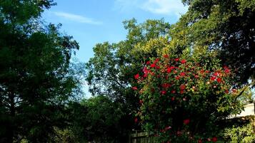 Außenpool, beheizter Pool