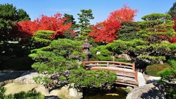 Ein traditioneller japanischer Garten mit einer hölzernen Brücke, einem Teich mit Koi-Karpfen und roten Ahornbäumen.