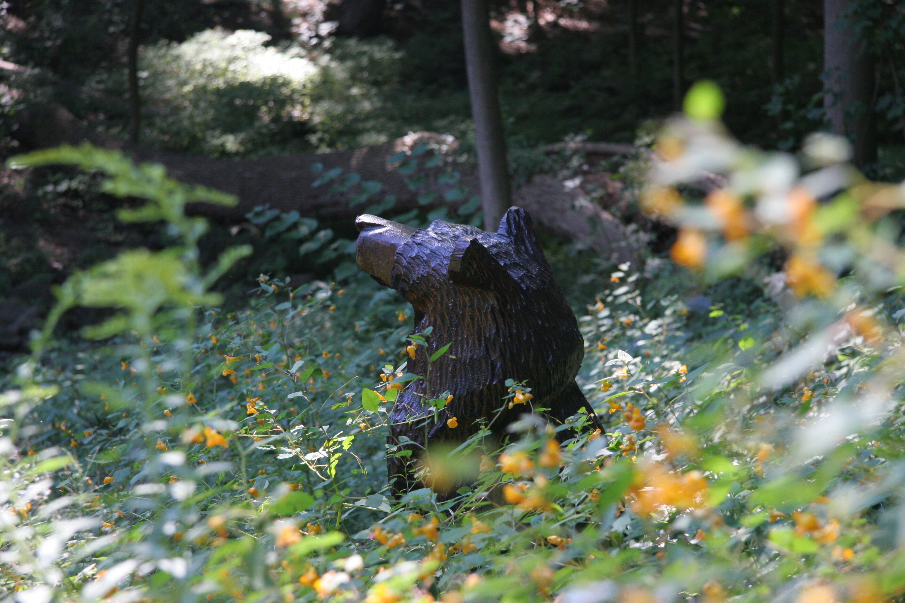 A forest scene with a large tree stump surrounded by green foliage and yellow flowers.