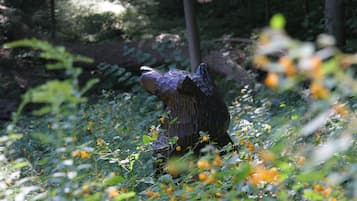 A forest scene with a large tree stump surrounded by green foliage and yellow flowers.