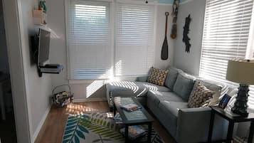 TV connectée, lecteur de DVD, vidéothèque