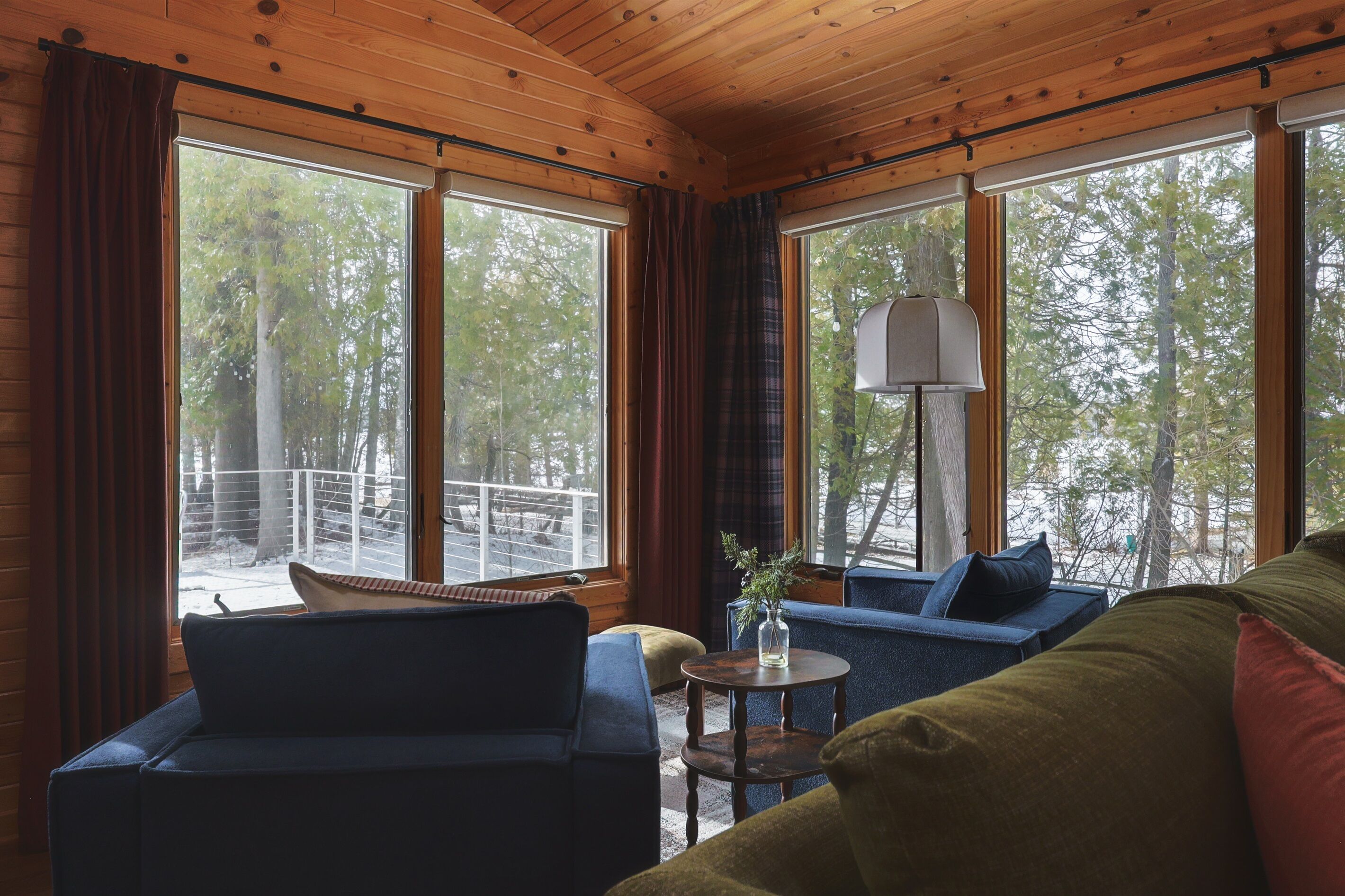 Smart TV, fireplace, DVD player, books