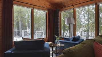 Smart TV, fireplace, DVD player, books