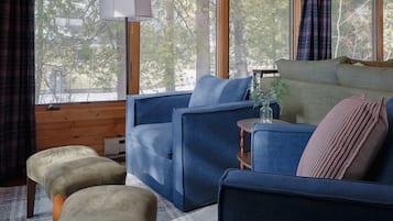 Smart TV, fireplace, DVD player, books